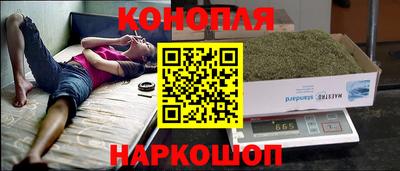 дживик Славгород