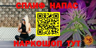 дживик Славгород