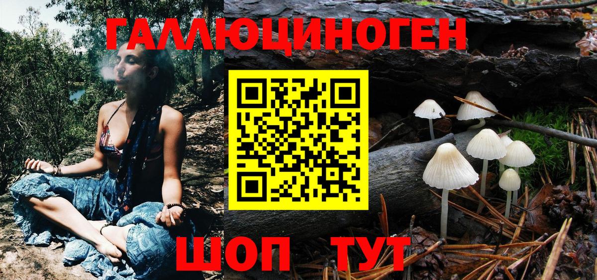 Псилоцибиновые грибы мухоморы Светлоград