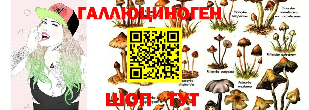 Светлоград  Галлюциногенные грибы Magic Shrooms  Вход с VPN  Псилоцибиновые грибы Psilocybine cubensis 